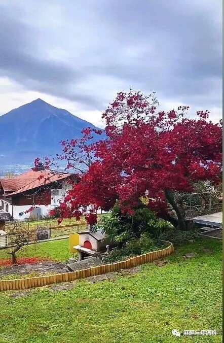 射频什么科射频治疗技术疼痛科专家共识_https://www.jmylbn.com_新闻资讯_第1张