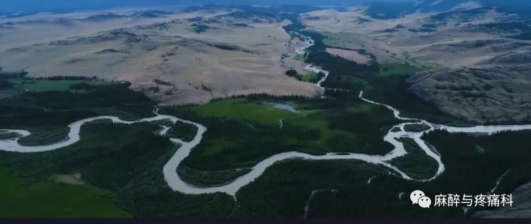 射频什么科射频治疗技术疼痛科专家共识_https://www.jmylbn.com_新闻资讯_第4张