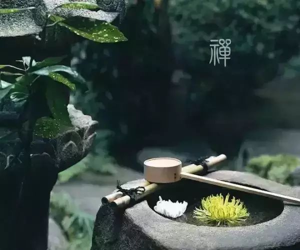 王菲致歉張柏芝，毀了你的家庭也葬送了我的青春，謝霆鋒愛的終究是你！ 婚戀 第8張