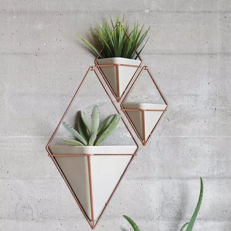 当一堵墙有了思想 ...【山东建筑材料网络社区】