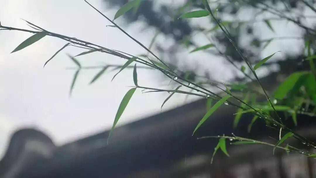 股指期货（9.5）