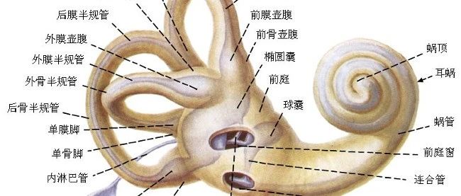 cover_image