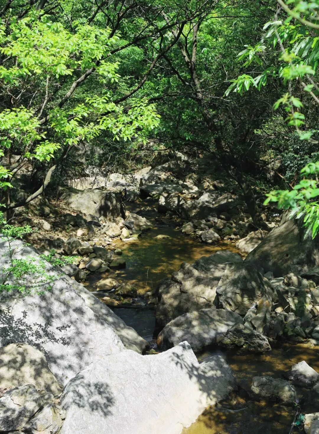 618徒步栲栳山新线首发一路溪水杨梅相伴徒步栲栳山溪水瀑布看够杨梅