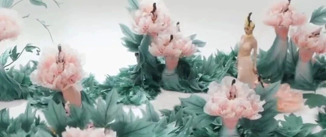 佟丽娅的花开富贵,开启一年的好运气!