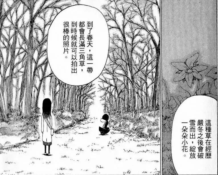 相互理解 以眼還眼 三角草的春天 Vs 聲之形 白鵝紀 微文庫