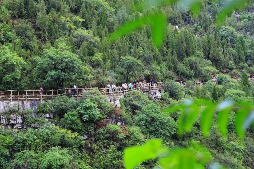 門票僅73元淄博齊山這個4a景區雲頂花海盛開避暑納涼超合適