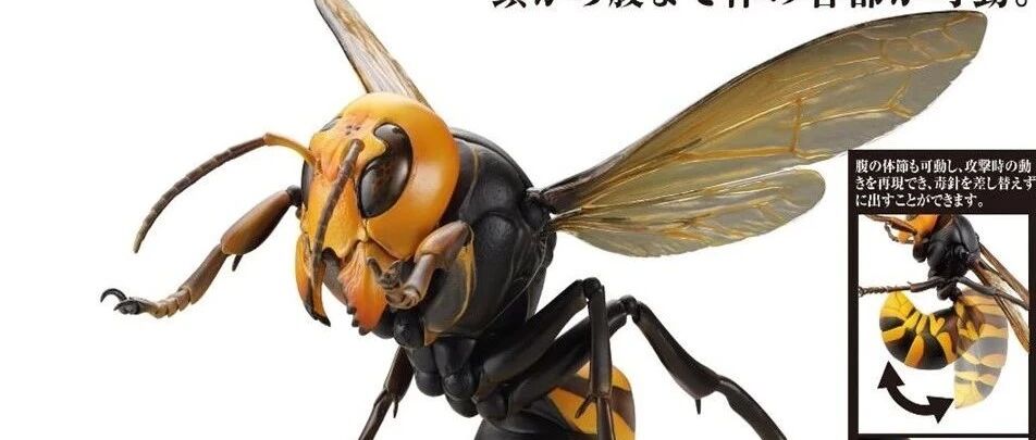 预售 Kaiyodo 海洋堂revo Geo 大虎头蜂黄蜂蜜蜂胡蜂关节可动年8月发售 宁波星河模玩 微信公众号文章 微小领