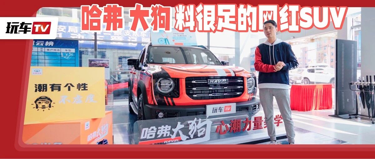 家用越野两相宜！2.0T+四驱+差速锁，顶配价格只要坦克300一半！