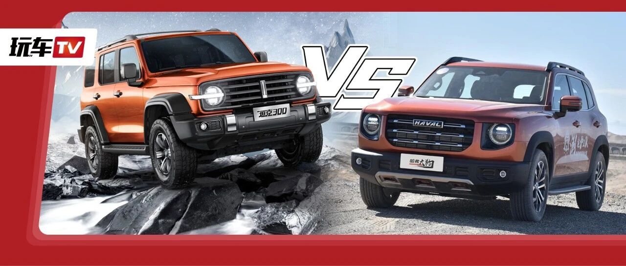 哈弗大狗 VS 坦克300，差别在哪？