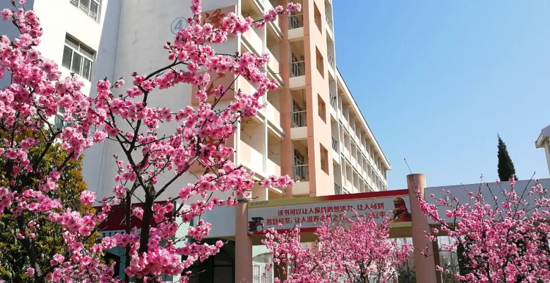 你要写日照一中就不能只写日照一中