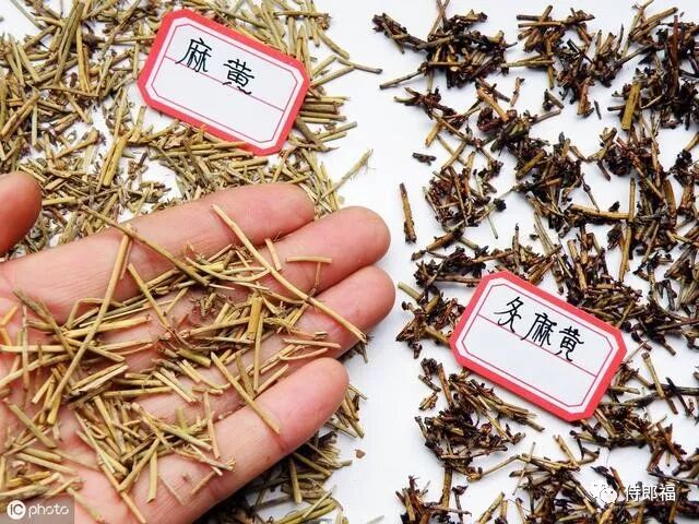 中医人一定要清楚这些中药的特殊功用