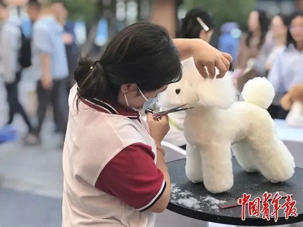 2025年成渝地区双城经济圈职业教育活动周系列活动期间，职校学生展示宠物美容技术。中青报·中青网记者 张渺/摄