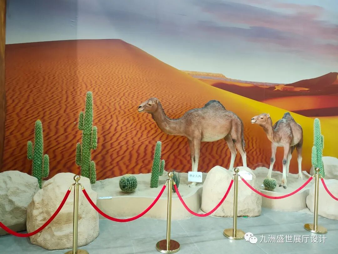 九洲盛世設(shè)計(jì)部跟隨市區(qū)領(lǐng)導(dǎo)蒞臨青島上合之珠國(guó)際博覽中心參觀世界各國(guó)國(guó)家展館(圖35)