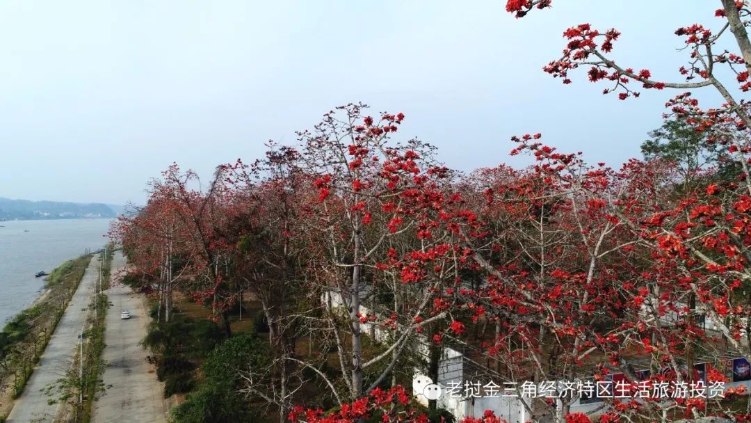 没有当过缅甸首都的城市_缅甸首都是什么名字_缅甸原来首都