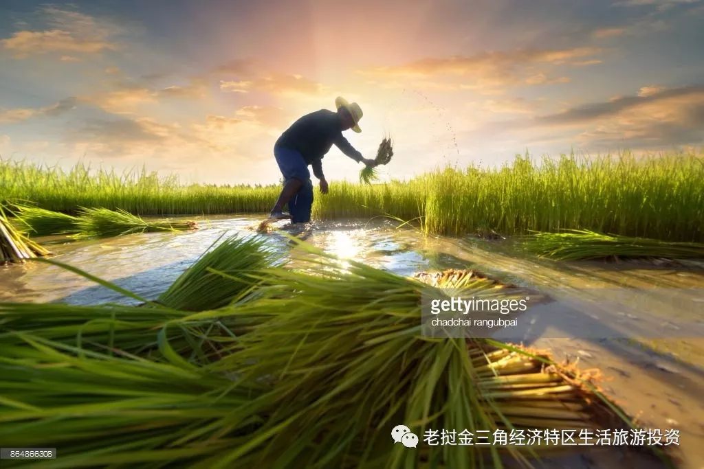 缅甸首都是什么名字_缅甸原来首都_没有当过缅甸首都的城市