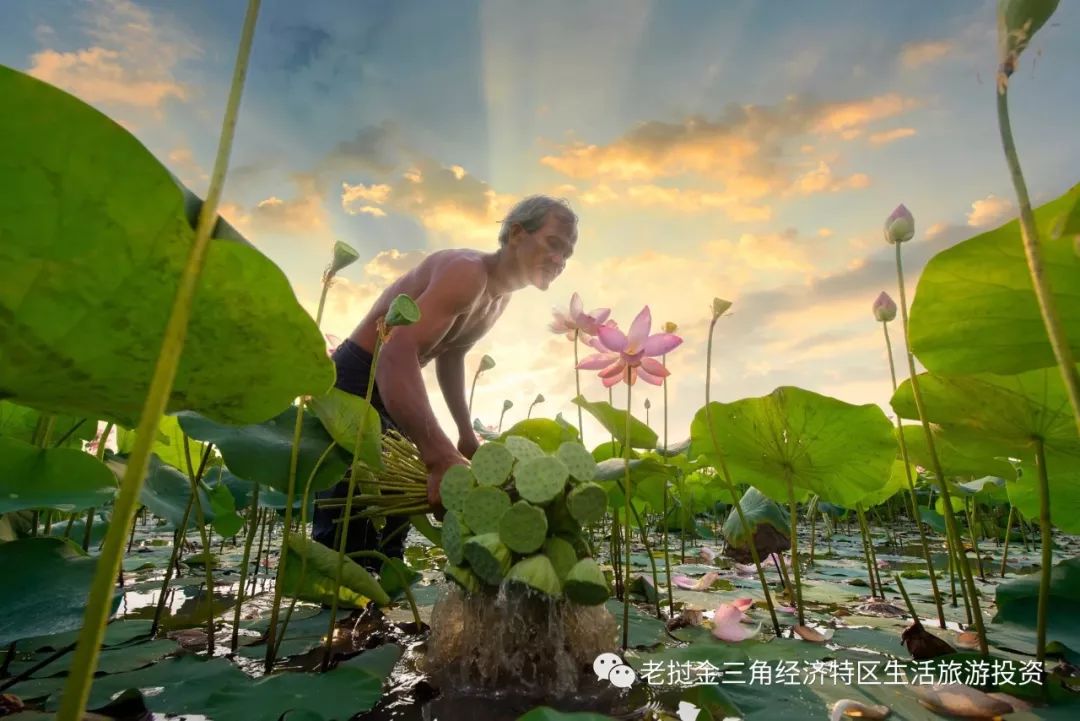 缅甸原来首都_缅甸首都是什么名字_没有当过缅甸首都的城市