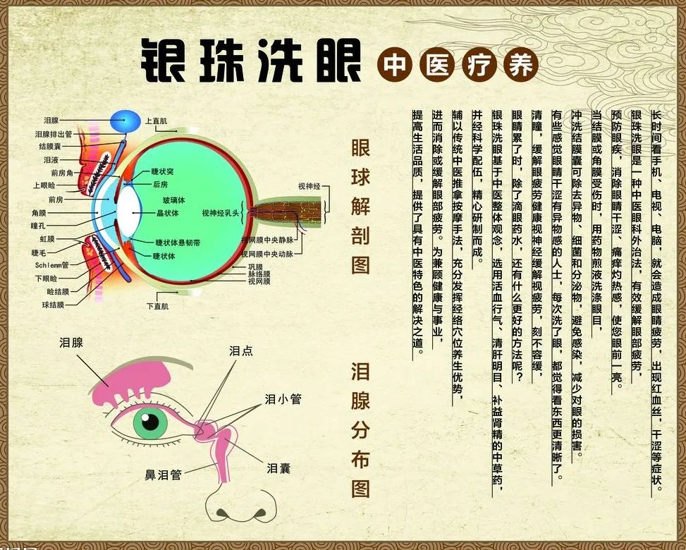 可视采耳学费多少钱