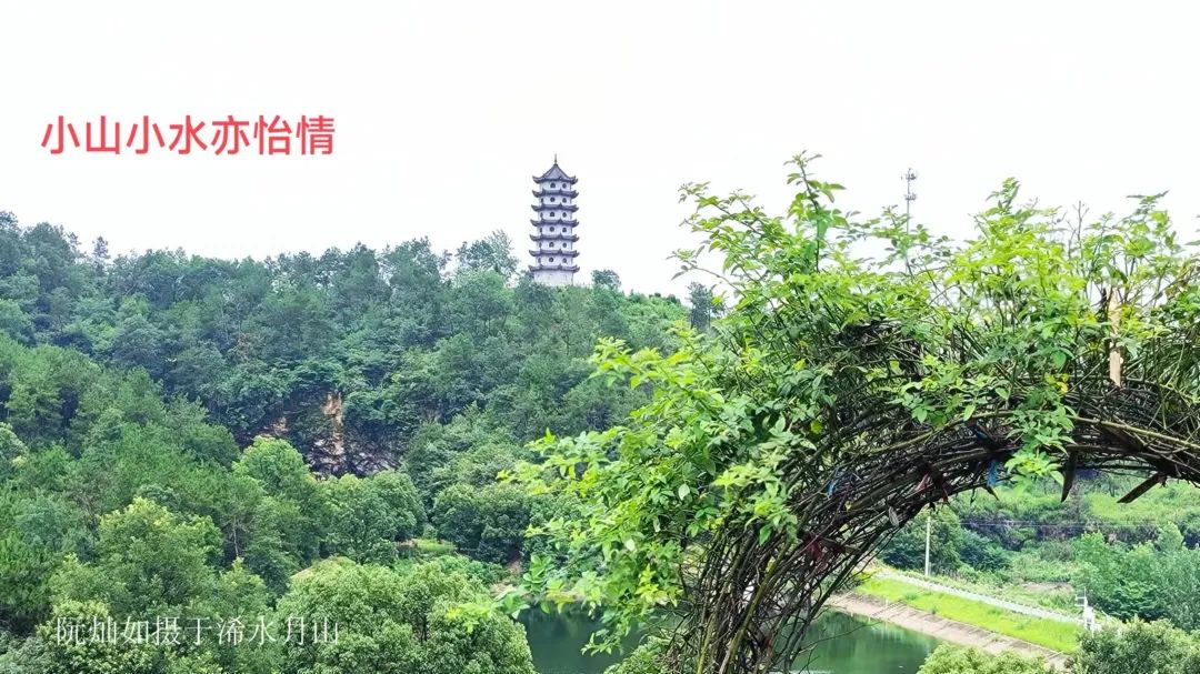 圖片