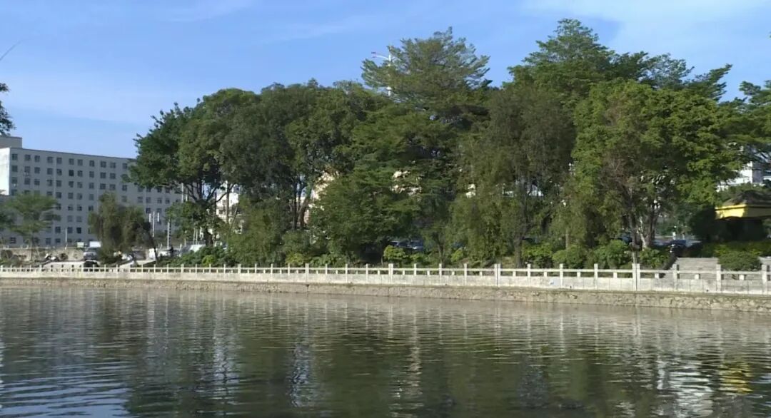 89㎡做四房，同德围有新盘珠江嘉悦湾入市！