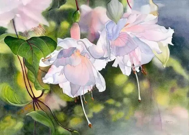 优美且浪漫的水彩花卉太美了，竟然出自一位女画家之手