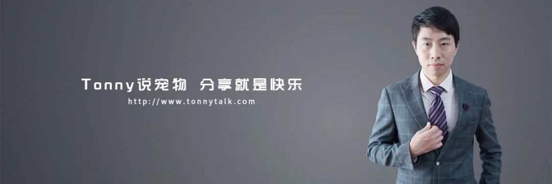 宠物经验卡买哪个划算_宠物经验心得_宠物总结