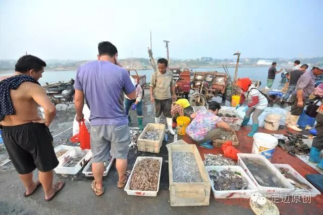 青岛开海季野生大虾论只卖 售价8元"保真货",北海水产研究联盟