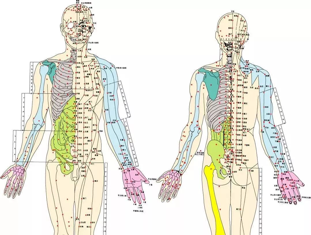 经络一通浑身轻松，关于经络养生的知识！