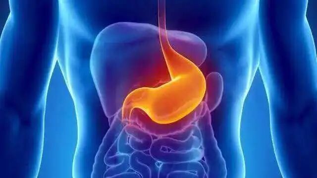 补脾，是身体调理的关键，可惜知道的人太少了！（好文收藏）