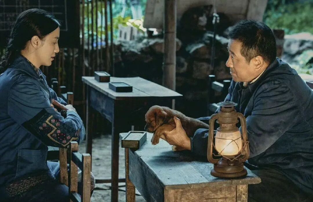 电视剧把更多的镜头和更多的赞美,给了三兄妹中文化程度低,看似在家最