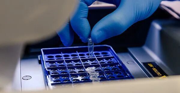 图形用户界面, 应用程序

AI 生成的内容可能不正确。