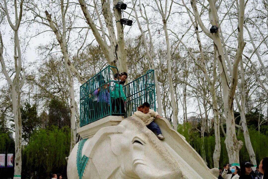 四月，来逍遥津公园赴春日之约~