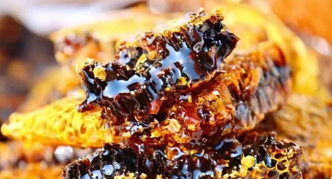 产自西双版纳千米高山,不到1%的人品尝过的"野生小种黑蜂蜜"