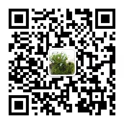 徽茶-茶礼