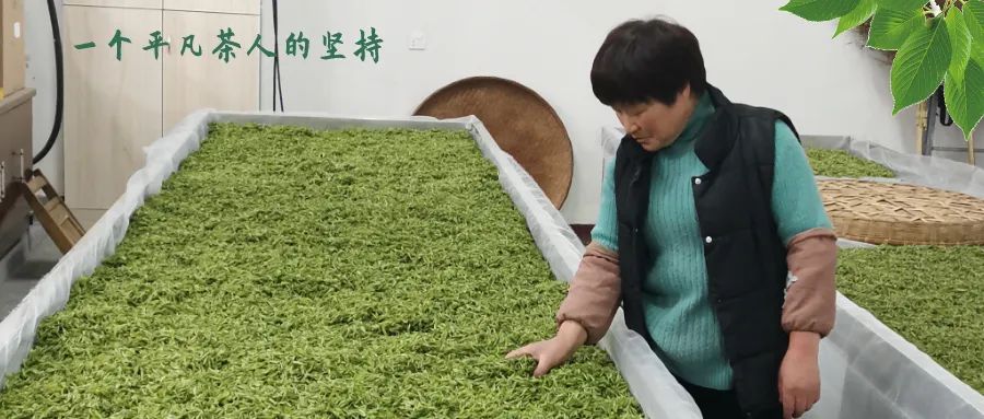 徽茶-茶礼