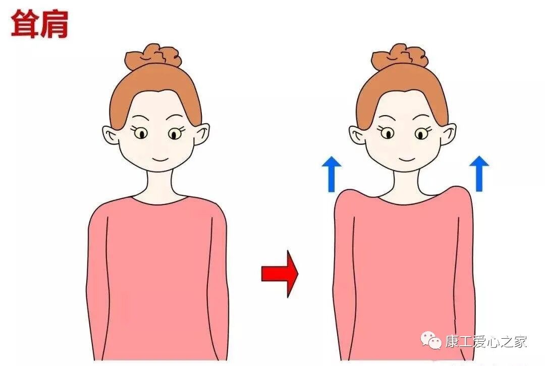 什么是费城颈托康复科普｜颈托在工伤康复中的应用_https://www.jmylbn.com_新闻资讯_第21张