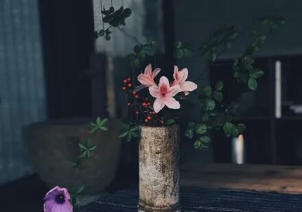 茶像生活，写着不同的人生