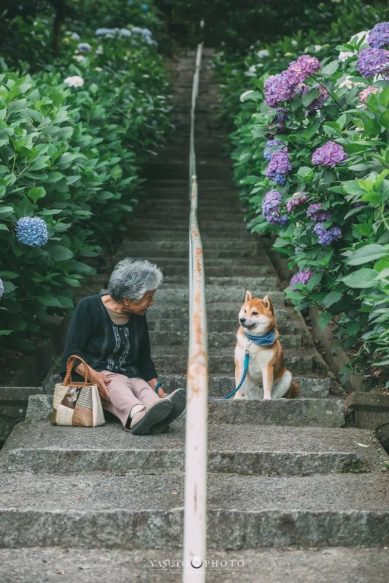 86 歲奶奶和柴犬共度餘生，一張圖片暖哭 34 萬網友，看完瞬間被治愈了… 未分類 第43張