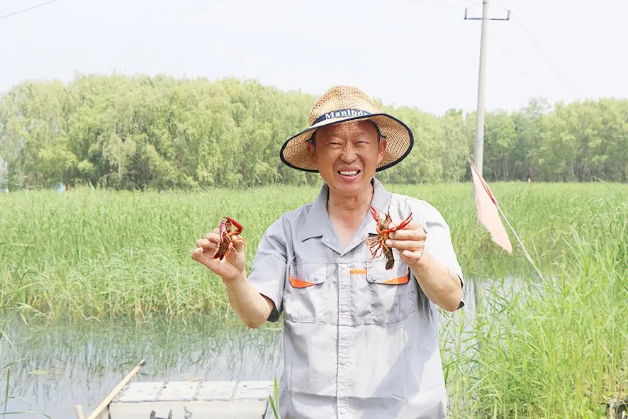 致富经小龙虾_致富经小龙虾_致富经小龙虾