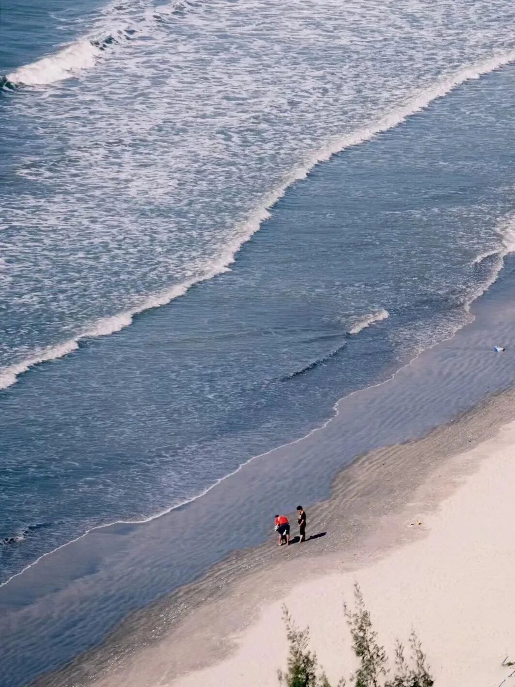 图源小红书@成为阿楚