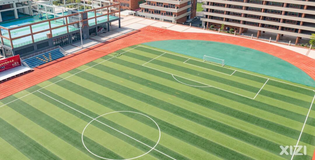 ͼƬ