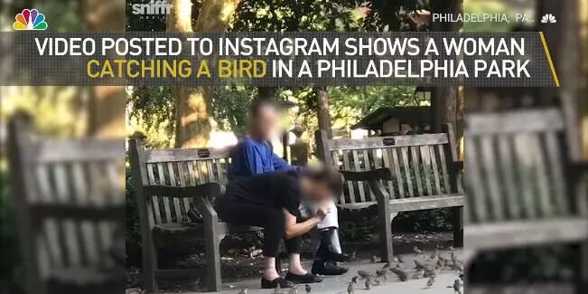 厉害了！亚裔男女公园徒手捉麻雀 炸了下酒? 网友怒斥：中国人什么都吃！（视频/组图） - 12