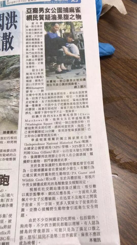 厉害了！亚裔男女公园徒手捉麻雀 炸了下酒? 网友怒斥：中国人什么都吃！（视频/组图） - 14