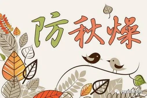 秋分后注意四点可以让孩子少生病