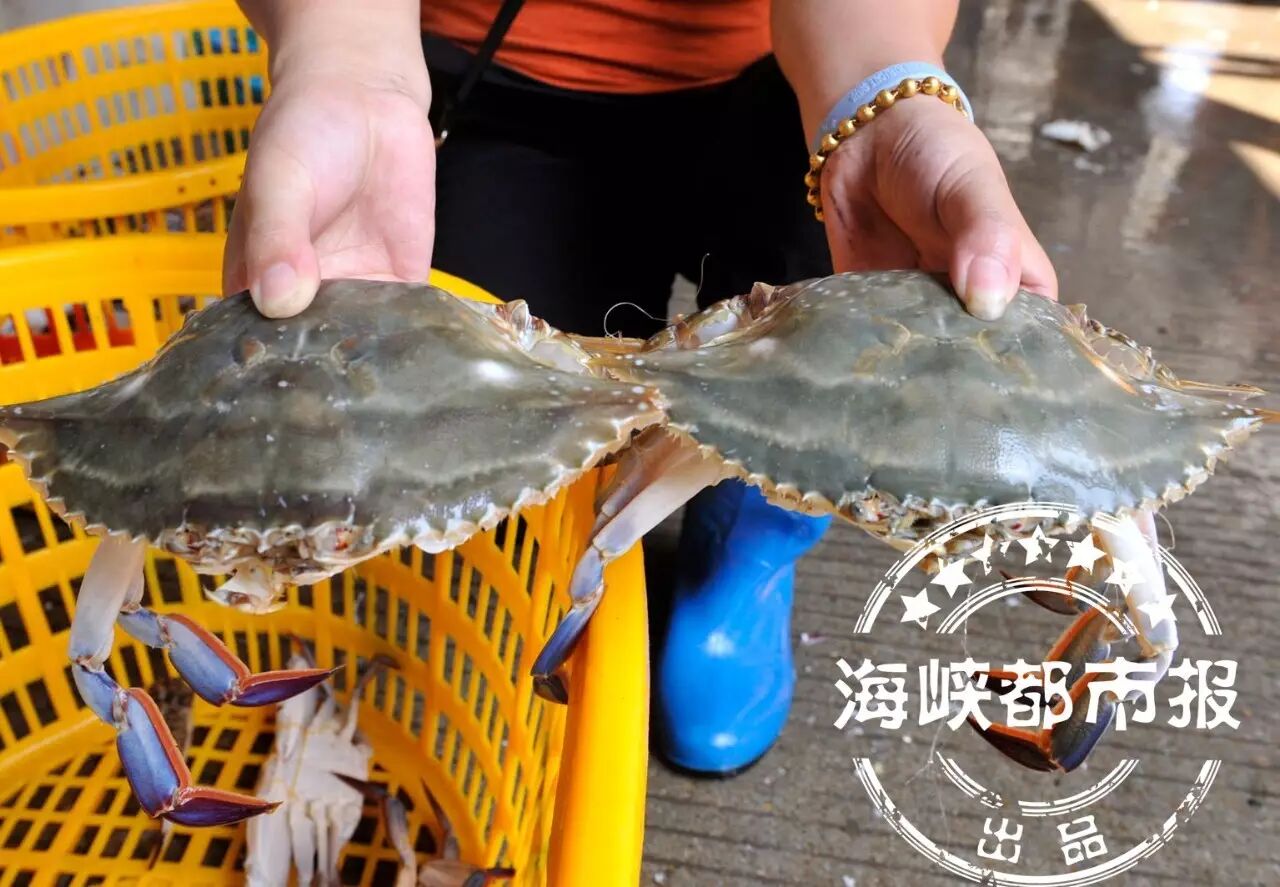 本地连江吃货有福啦开渔第一网海鲜上市黄岐最热闹价格直降30