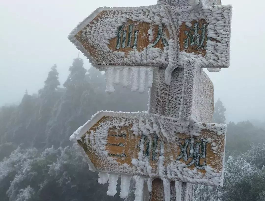 此刻,鼓岭成了天然的雪景公园!