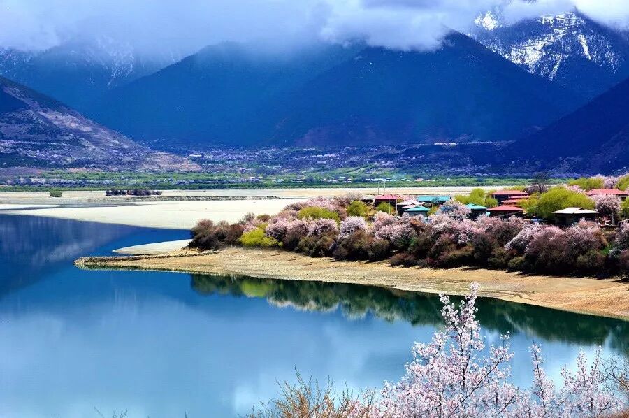 要不 我陪你去西藏看桃花吧 原来是柒公子 每日精选公众号文章