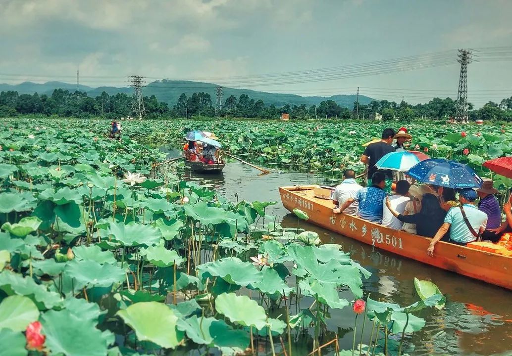 如果你來廣東，一定要看看這篇。 旅行 第25張