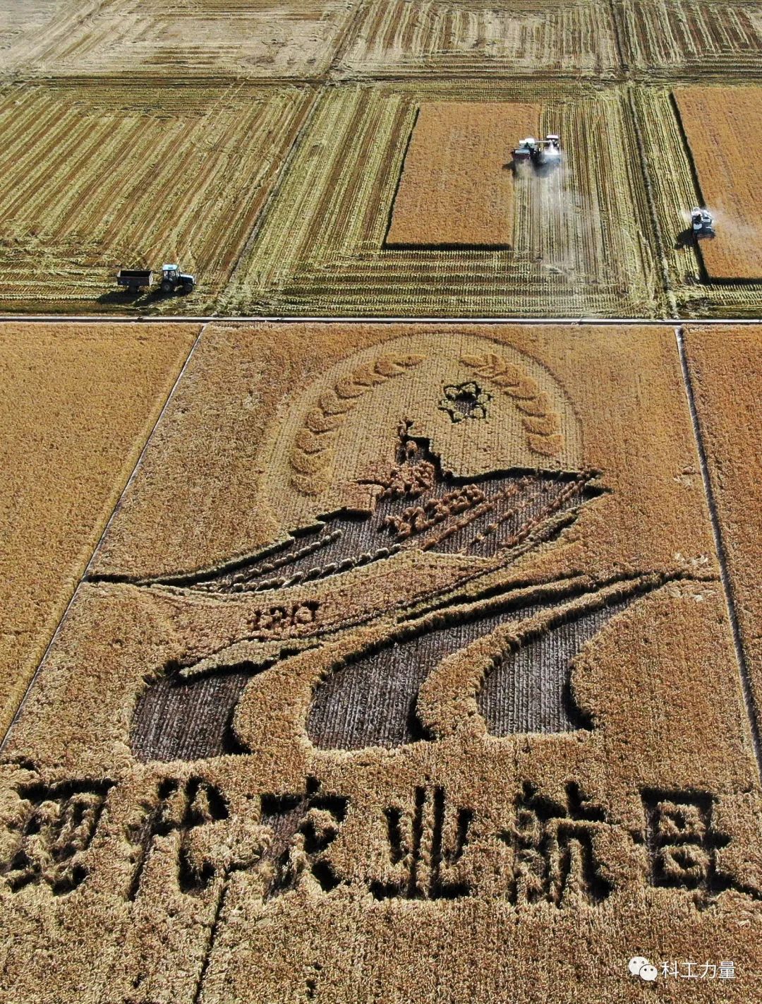 社会资本简单再生产的实现条件是 中国人的饭碗要端在自己手里，未来会面临粮食战吗？
