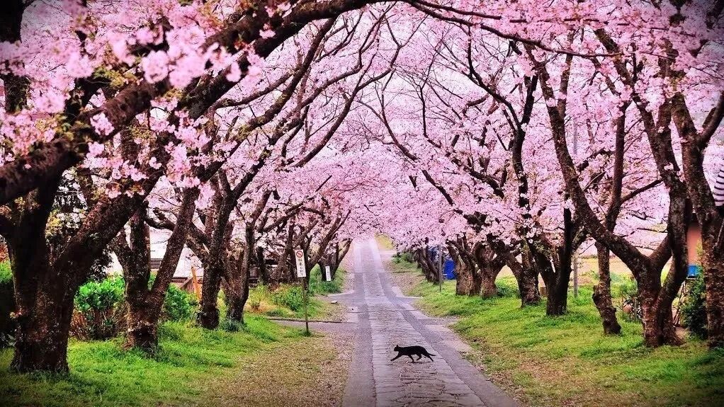 波兰UITM大学运营与供应链硕士