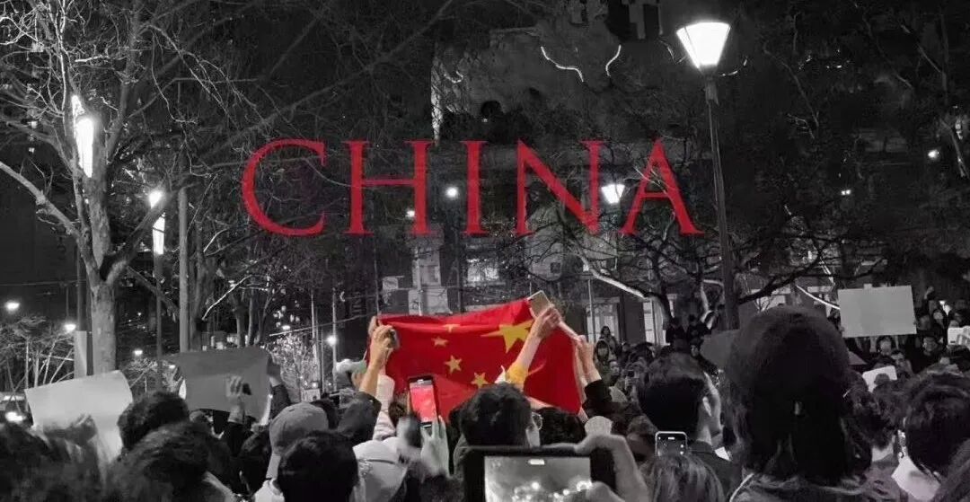 海外华人和留学生回国，为何成了“过街老鼠”？（组图） - 23